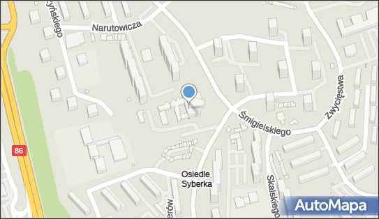 Sklep Kosmetyczno Chemiczny, ul. Wirginiusza Chmielewskiego 7 42-500 - Przedsiębiorstwo, Firma, NIP: 6251026454