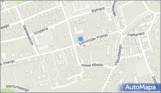 8141326251, Szypuła Maria Sklep Medyczno-Stomatologiczny 