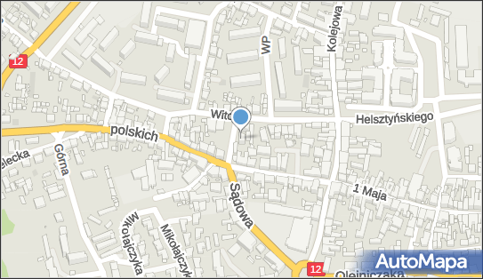 Sklep Medyczny, ul. Wincentego Witosa 16, Gostyń 63-800 - Przedsiębiorstwo, Firma, numer telefonu, NIP: 6961190200