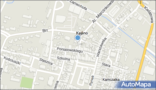 Sklep Nasienno Przemysłowy, ul. Aleje Marcinkowskiego 1, Kępno 63-600 - Przedsiębiorstwo, Firma, NIP: 6191104712