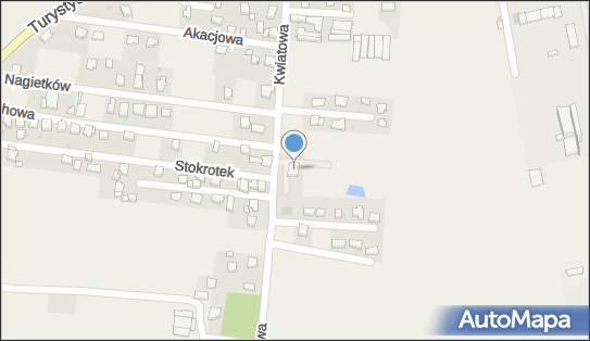 6381015986, Jańczak Leszek Sklep Nasienny 