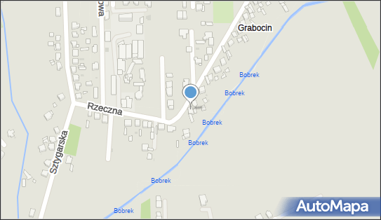Sklep Ogólno Spożywczy i Przemysłowy, Rzeczna 28a 42-530 - Przedsiębiorstwo, Firma, NIP: 6291022712