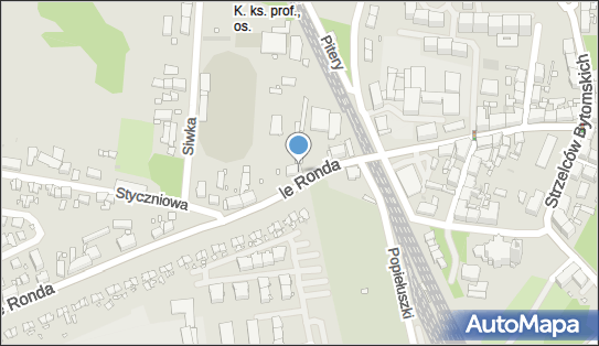 9542363198, Sklep Ogólnospożywczy Sznepka Krystyna 