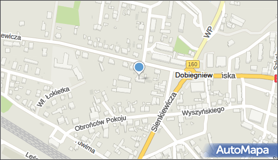 Sklep Ogrodniczo Przemysłowy, ul. Mickiewicza 2/A, Dobiegniew 66-520 - Przedsiębiorstwo, Firma, NIP: 5941006753