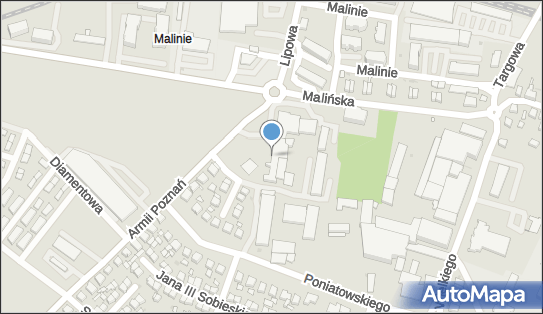 Sklep Piwosza Hurt Detal, ul. Armii Poznań 1, Pleszew 63-300 - Przedsiębiorstwo, Firma, numer telefonu, NIP: 9680659256