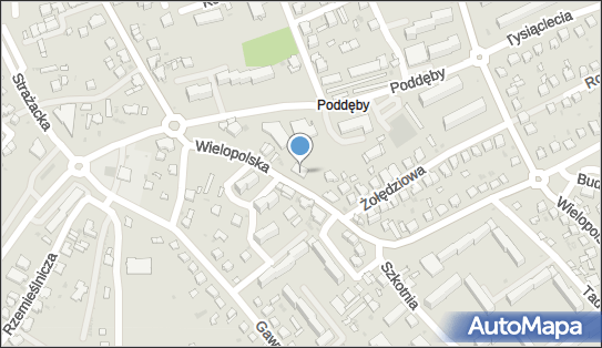 8721574126, Sklep Przemysłowo-Spożywczy Spółka Cyw.Wiesława i Stanisław Nylec 