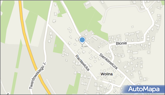 Sklep Przemysłowo Spożywczy, ul. Henryka Sienkiewicza 8, Wolina 37-400 - Przedsiębiorstwo, Firma, NIP: 8651019453