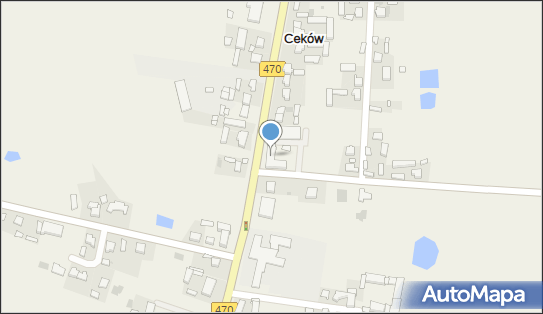 Sklep Przemysłowy Anita Wałęsiak, Ceków 15, Ceków 62-834 - Przedsiębiorstwo, Firma, NIP: 9680874262