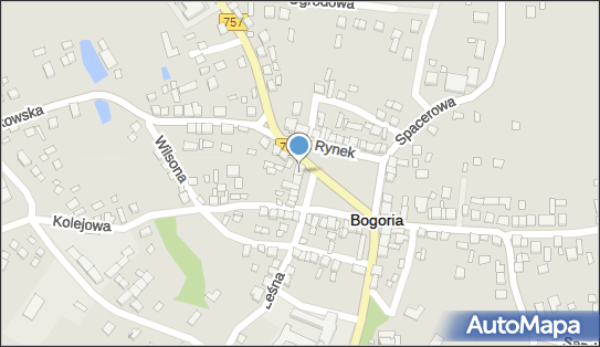 Sklep Przemysłowy Chemii Gospodarczej, Rynek 26, Bogoria 28-210 - Przedsiębiorstwo, Firma, NIP: 8661461989
