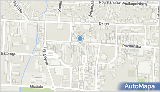 Sklep Rolno Przemysłowy, ul. Adama Mickiewicza 6, Nowy Tomyśl 64-300 - Przedsiębiorstwo, Firma, NIP: 7881018882