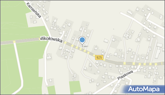 Sklep Rzeźniczo-Wędliniarski Piotr Fojcik, Mikołowska 64 44-238 - Przedsiębiorstwo, Firma, NIP: 6422746653