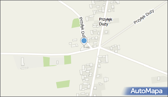 Sklep Spożywczo - Przemysłowy Anluk, Przyłęk Duży 48 95-063 - Przedsiębiorstwo, Firma, NIP: 8331353788
