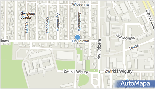 Sklep Spożywczo-Przemysłowy Babel Hatem Naif Abed 87-100 - Przedsiębiorstwo, Firma, NIP: 8790000233
