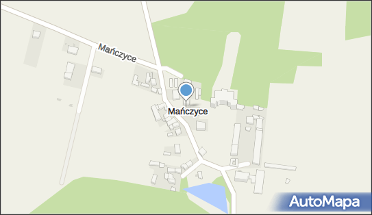 Sklep Spożywczo-Przemysłowy Teresa Stefaniszyn, Mańczyce 14c 57-160 - Przedsiębiorstwo, Firma, NIP: 9141254635