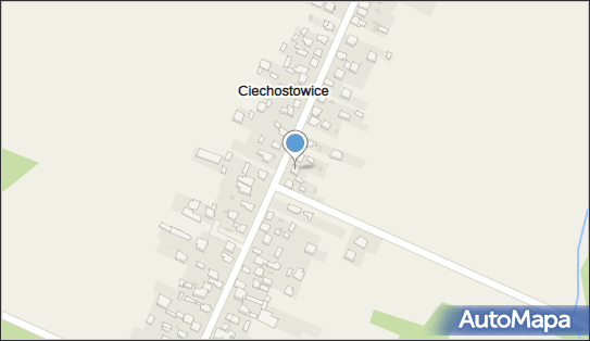 Sklep Spożywczo -Przemysłowy Tomasz Adamczyk, Ciechostowice 135 26-500 - Przedsiębiorstwo, Firma, NIP: 7991311755