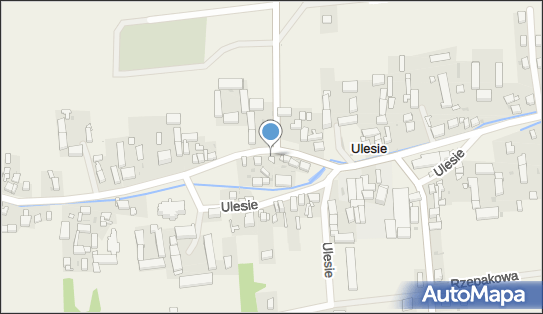 Sklep Spożywczo-Przemysłowy - Tosia Antonina Kaproń, Ulesie 81 59-222 - Przedsiębiorstwo, Firma, NIP: 6911187377