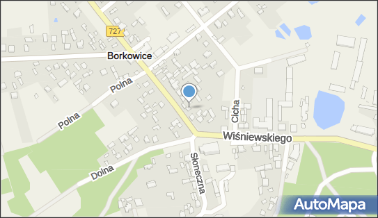 Sklep Spożywczo Przemysłowy U Wojtka, Borkowice 26-422 - Przedsiębiorstwo, Firma, numer telefonu, NIP: 7991001026