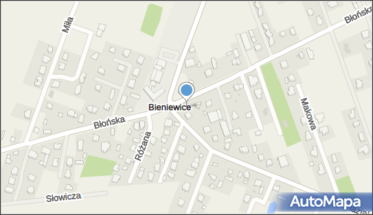 8381322175, Sklep Spożywczo-Przemysłowy Rybińska Joanna 