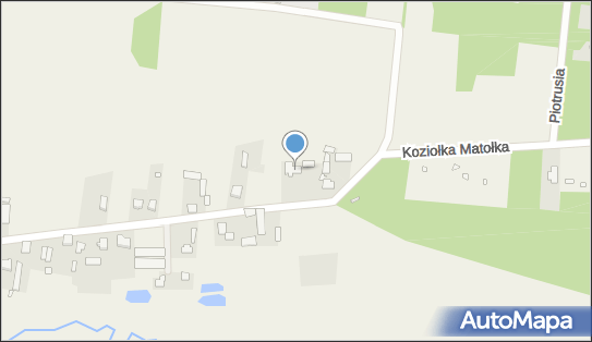 1250707675, Sklep Spożywczo-Przemysłowy Załęska Halina 