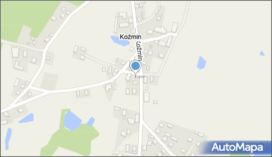 Sklep Spożywczo Przemysłowy, Koźmin 55, Koźmin 83-236 - Przedsiębiorstwo, Firma, NIP: 5921200334