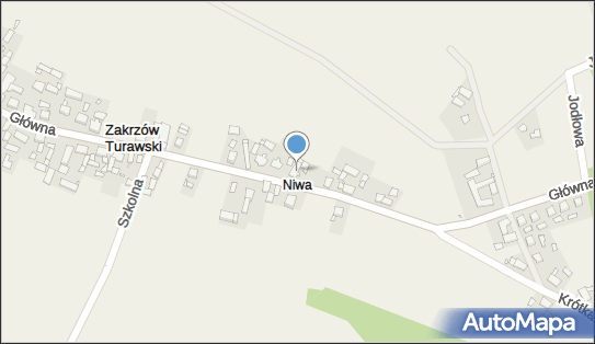 7540016385, Dziuba Wilhelm Sklep Spożywczo-Przemysowy 