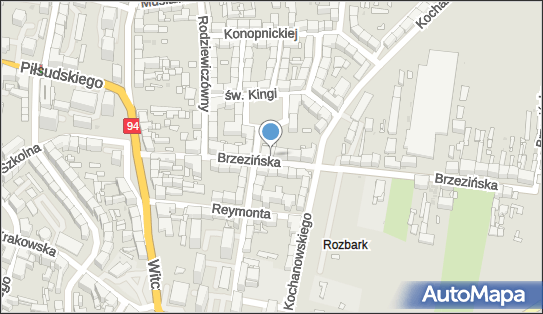 Sklep Spożywczo Rybny Amur, Brzezińska 11, Bytom 41-902 - Przedsiębiorstwo, Firma, NIP: 6272083084