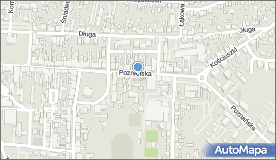 Sklep Spożywczo Rybny Szczupak Irena Piechocka Iwona Piechocka 64-300 - Przedsiębiorstwo, Firma, NIP: 7881750784