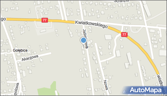 8641030513, Sklep Spożywczo - Warzywny Rafał Wiśniewski 