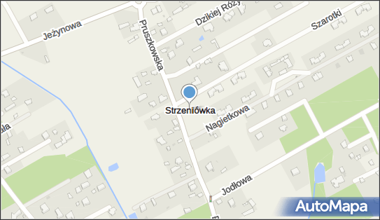 5341472955, Sklep Spożywczy, Szamota Renata 