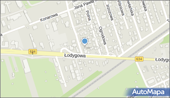 1250123313, Sklep Spożywczy Wioletta Borkowska 