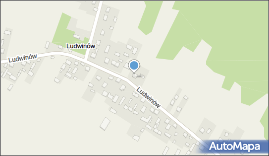 Sklep Spożywczy, Ludwinów 51, Ludwinów 28-366 - Przedsiębiorstwo, Firma, NIP: 6560005295