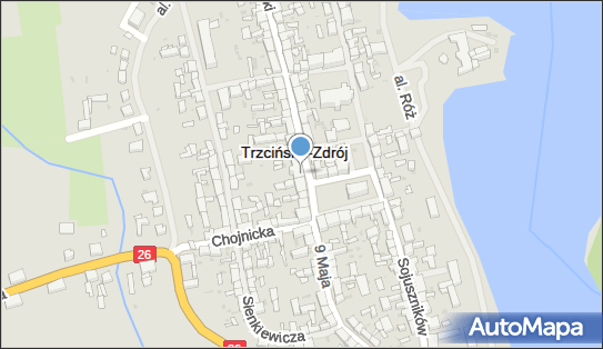 Sklep u Joli Jolanta Wasiela, ul. Kościuszki 9, Trzcińsko-Zdrój 74-510 - Przedsiębiorstwo, Firma, NIP: 8581019820