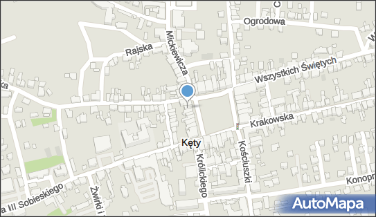 5490007235, Sklep Wielobranżowy 