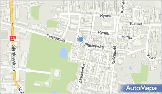Sklep Wielobranżowy Alinex, Piastowska 25, Krotoszyn 63-700 - Przedsiębiorstwo, Firma, NIP: 6211248125
