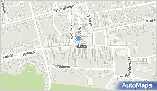 Sklep Wielobranżowy Arek, ul. Kaliska 4A, Turek 62-700 - Przedsiębiorstwo, Firma, NIP: 6681112618