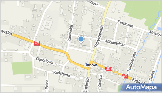 Sklep Wielobranżowy Danstyl, Plac Grunwaldzki 7, Janów 42-253 - Przedsiębiorstwo, Firma, NIP: 9490136153
