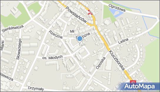 Sklep Wielobranżowy Vanessa Mirosława Forma Maria Hanuszewicz 46-250 - Przedsiębiorstwo, Firma, NIP: 7511640299