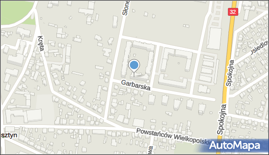 970293560, Sklep Wielobranżowy Elżbieta Wojtaszek, Wolsztyn 