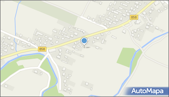 9180001306, Sklep Wielobranżowy - Bzdziuch Henryk 