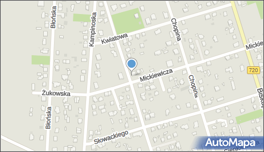 5341492449, Sklep Wielobranżowy, Przybylska Agata 