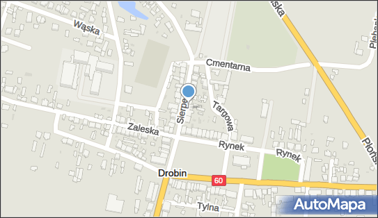 Sklep Wielobranżowy, ul. Sierpecka 8, Drobin 09-210 - Przedsiębiorstwo, Firma, NIP: 7761114407