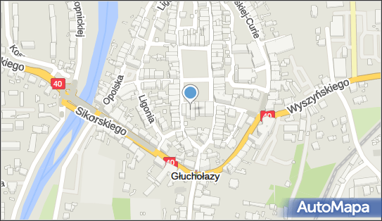 Sklep-Zakład Złotniczy Szafir Grzegorz Wysokulski, Rynek 18 48-340 - Przedsiębiorstwo, Firma, NIP: 7551002151