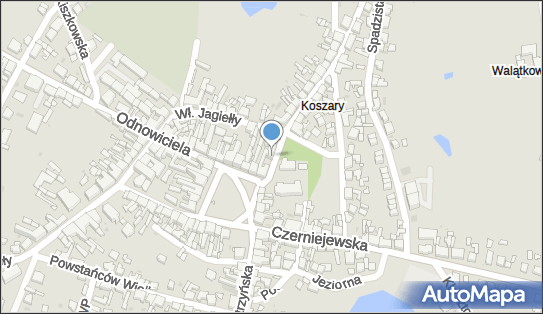 7841367174, Sklep Zielarsko-Drogeryjny Czekalska Elżbieta 