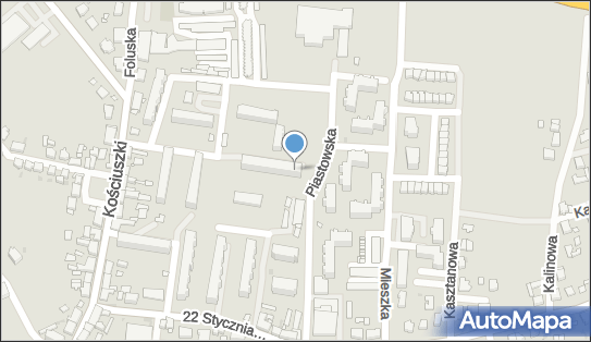 Sklep Zielarsko Medyczny, Piastowska 5, Trzemeszno 62-240 - Przedsiębiorstwo, Firma, NIP: 6981401781