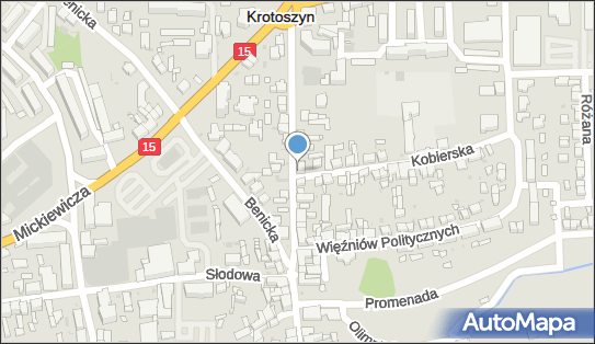 Sklep Zioła Zdrowa Żywność Itd, Koźmińska 42, Krotoszyn 63-700 - Przedsiębiorstwo, Firma, NIP: 6421431203