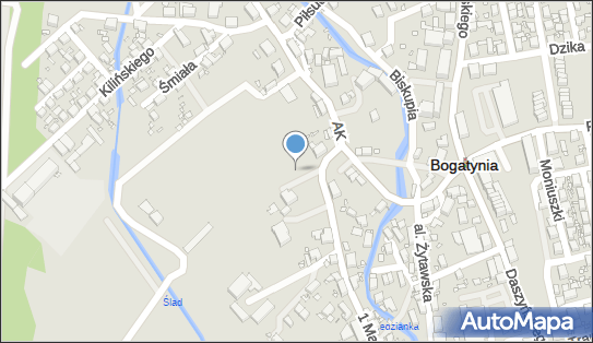 Skup i SPRZ.Sur.Wtórn., M.Nasidlak, Bogatynia, 1 Maja 35 59-920 - Przedsiębiorstwo, Firma, NIP: 6151267081