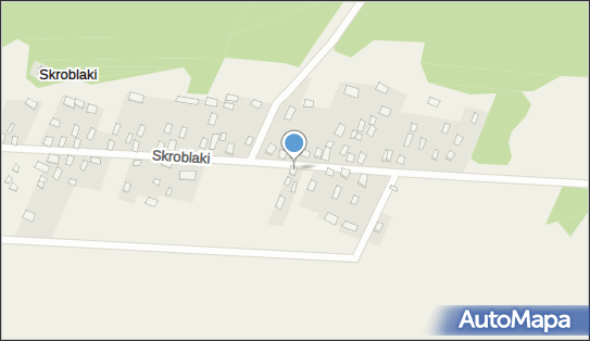 9660639658, Skup i Sprzedaż Runa Leśnego Owsiejczuk Dariusz 