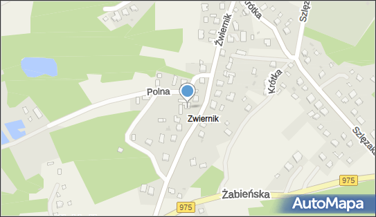 8711098285, Skup i Sprzedaż Samochodów Osobowych Magdalena Witek 