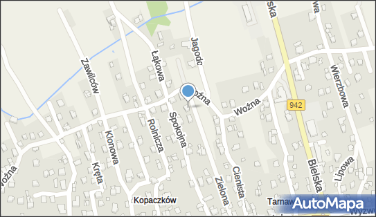 Skuzasport - Paweł Skuza, Zielona 1032, Buczkowice 43-374 - Przedsiębiorstwo, Firma, NIP: 9372420080