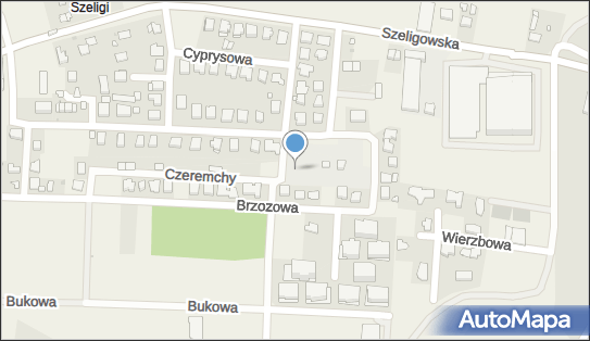 Skylights, Brzozowa 11b, Szeligi 05-850 - Przedsiębiorstwo, Firma, NIP: 5213186770